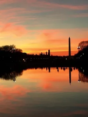 Electoral College in 2028: Understanding Its Role - Cover Image
