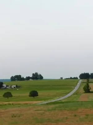 5G Expansion in Rural US: Timeline and Connectivity Impact - Cover Image