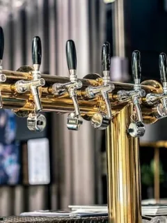 The Evolution of American Craft Beer: A Cultural Journey - Cover Image
