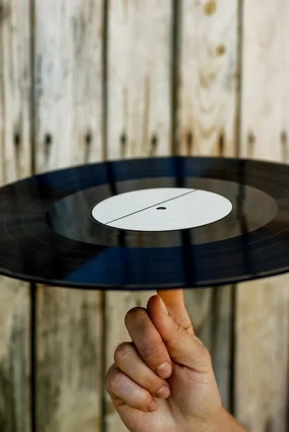 A close-up on a hand carefully holding a vinyl record, showcasing the album art details and the vinyl grooves. The background is blurred to emphasize the focus on the tactile and visual aspects of the record.